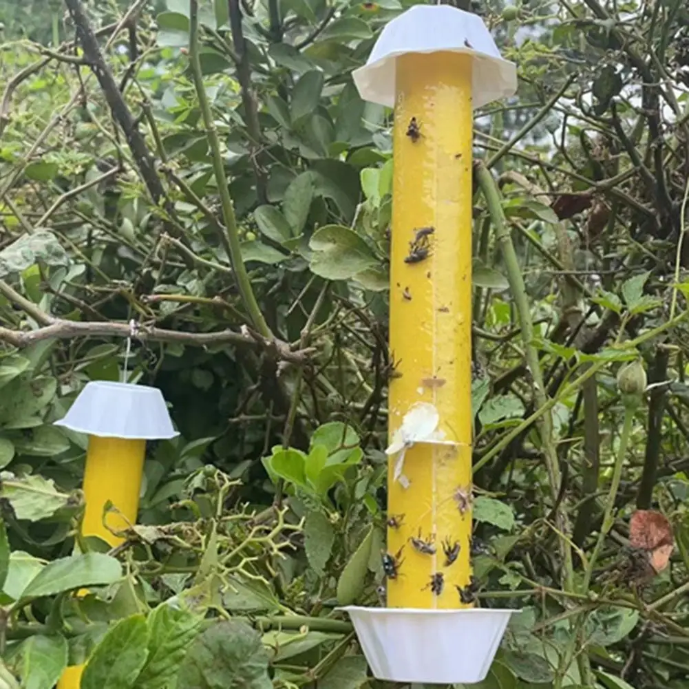 Trappola Per Zanzare Efficace Trappola Per Zanzare Insetti Volanti Ecologici Trappola Appiccicosa Per Uso Interno Ed Esterno Efficace Mosca Della Frut