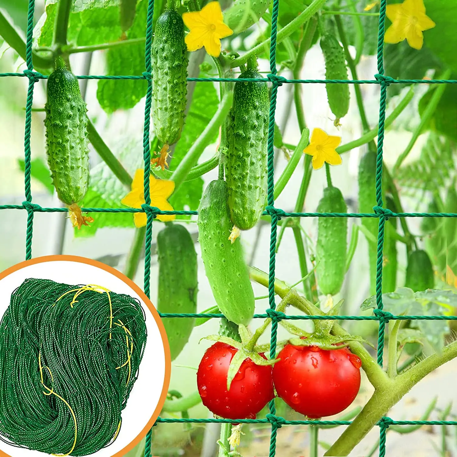 36 Strands 10cm Cell Plant Climbing Net -Heavy Duty Garden Trellis Netting Plant Netting for Cucumber Vine, Fruits & Vegetable