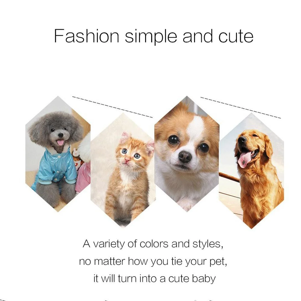 Fiocchetti Per Cani Con Elastico - 20 Pezzi Colorati - Per Decorare Il Pelo Del Cane - Foto 13