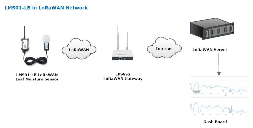 Lora Module Smart Agriculture Dragino LMS01-LB LoRaWAN Leaf Moisture Sensor