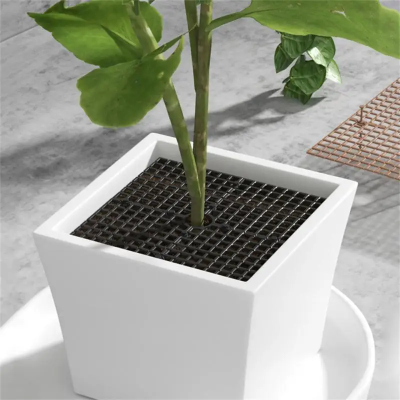 

Plant Pot Soil Guard With Nails Plant Pot Grid Flower Pot Cover Baby Safety Mouse Garden Home Plant Protector Plant Covers
