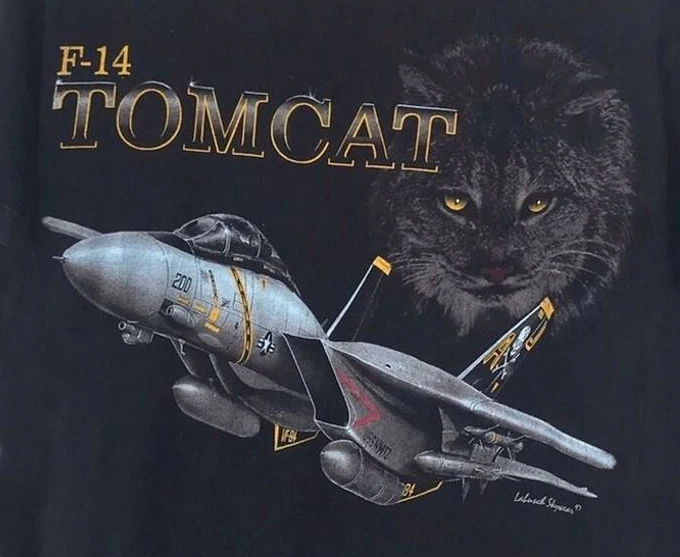Naval F-14 Tomcat Fighter Aircraft T-Shirt Cotton O-Neck Summer Short Sleeve Casual Mens Size S-3XL