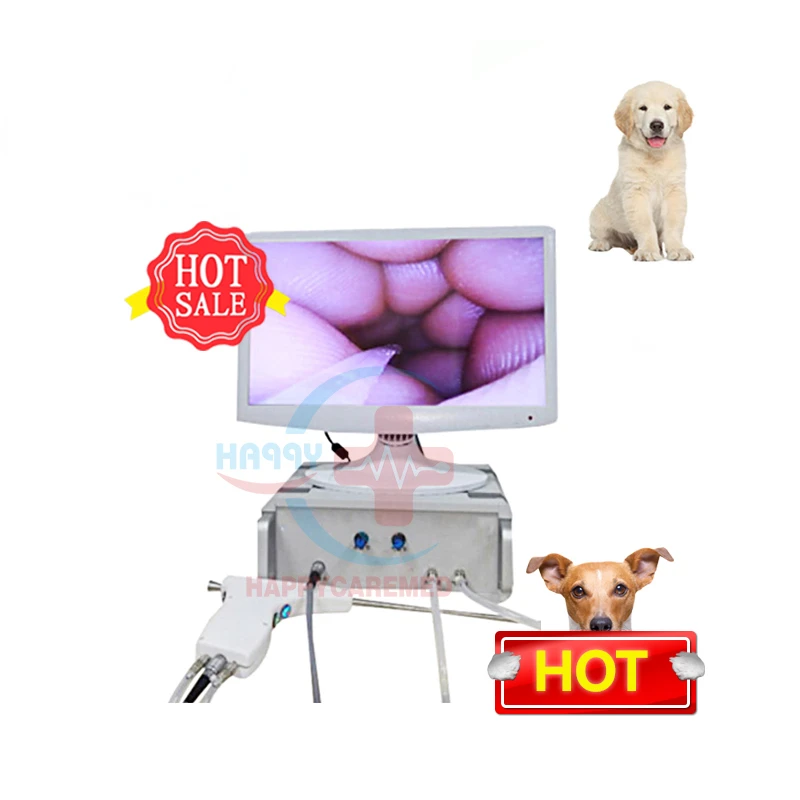 

HC-R058 TCI Desktop Veterinary Transcervical Ai Kit Dogs Artificial Animal Insemination Gun With Camera
