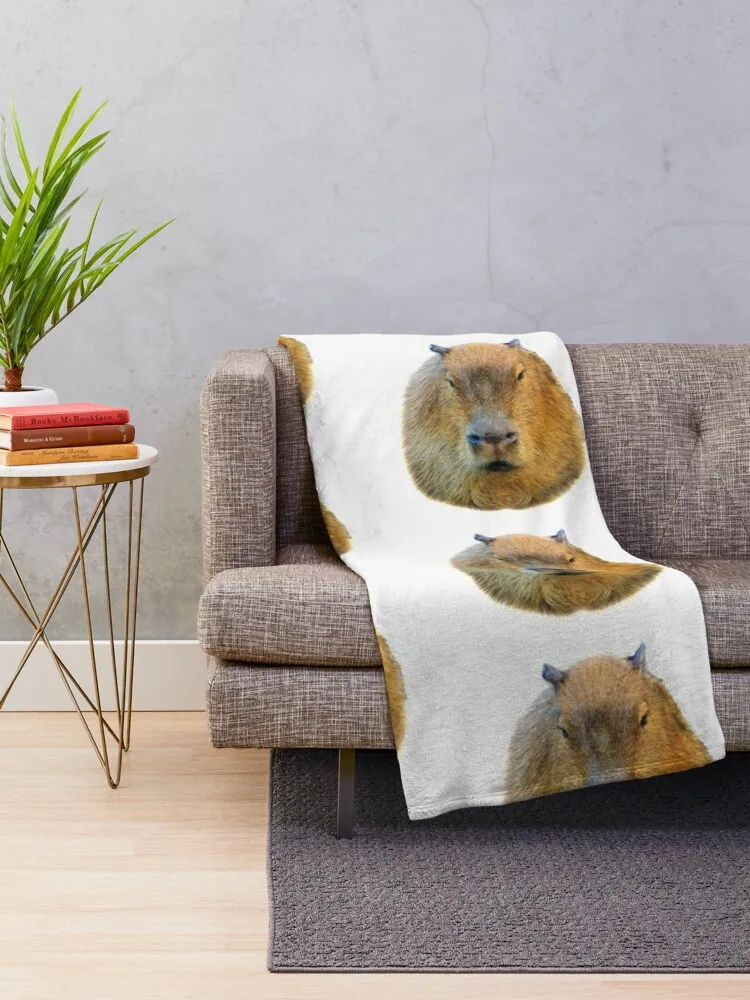 Capybara �Ӹ� ������ ���, ķ�� ���� �غ� ���
