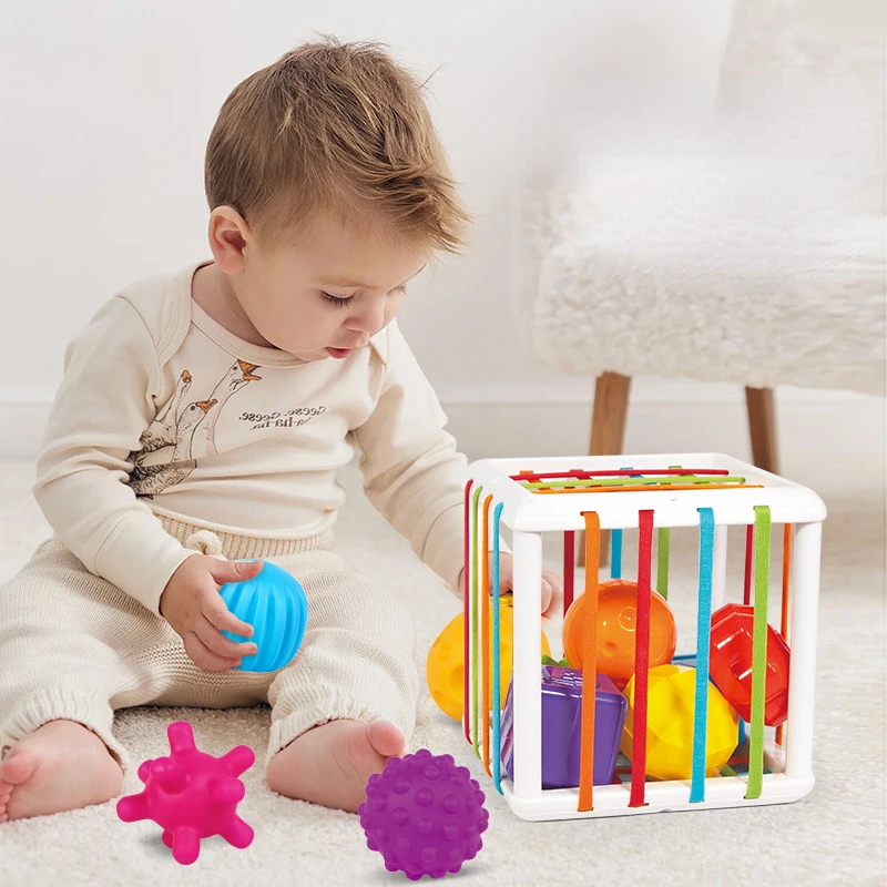 Educational Toys Montessori Toys Children 0-12 Months Early Education Rainbow Cesare Enlightening and Grasping Sensory Training Baby Toys Plastic