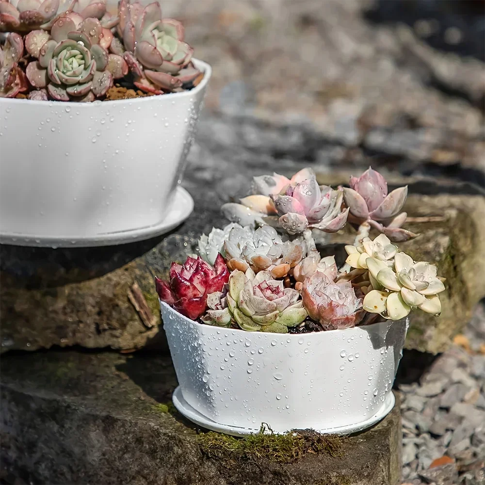 1pc-Simple Planter Large Holder