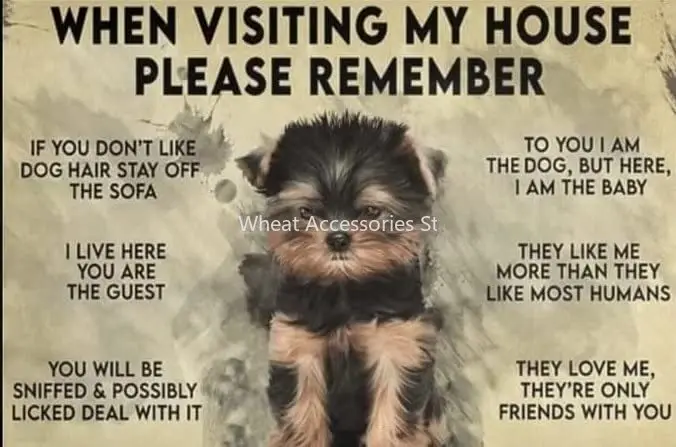 

Vintage Tin Sign Decor Yorkshire Terrier Dog I Live Here You Are The Guest Funny Retro Aluminum Sign For Office Garden