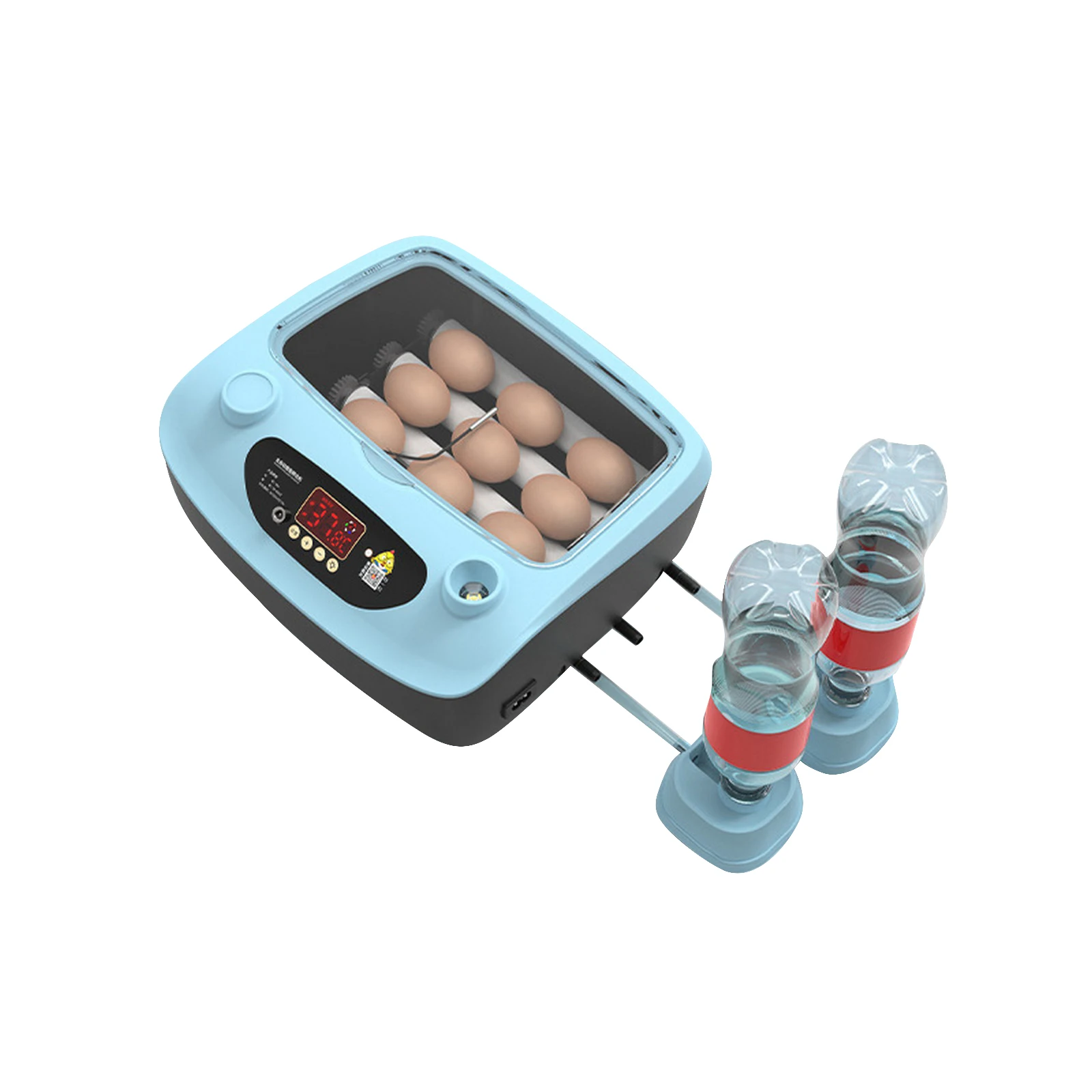 9 Eggs