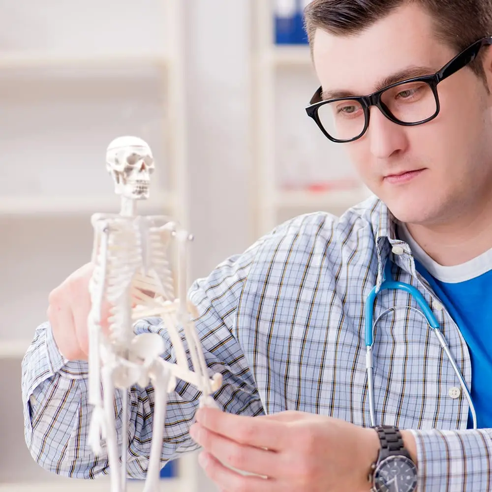 45CM Human Skeleton Model Anatomical Anatomy human Flexible Medical anatomical boneco toy in medical science supplies anatomical models