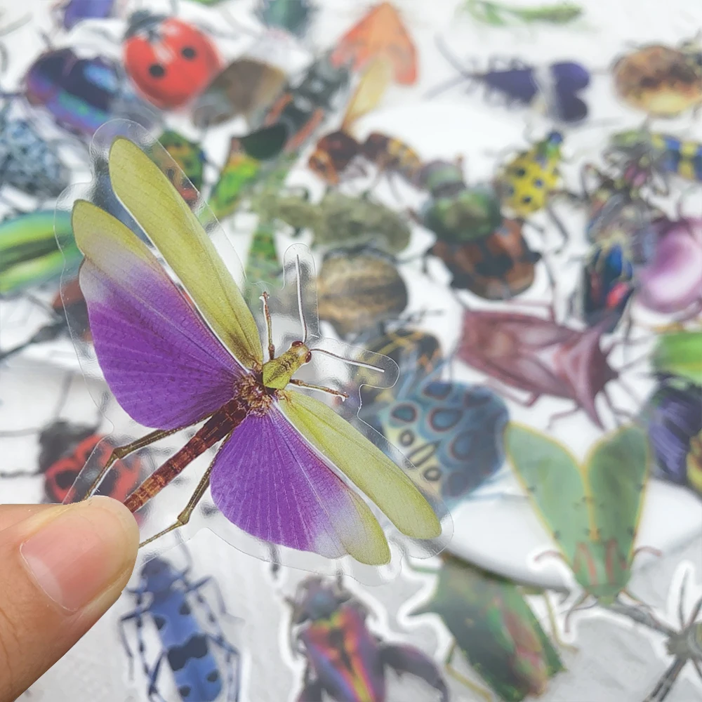 50pcs 곤충 잠자리 애완 동물 스티커 데칼 전화 노트북 노트북 스케이트 보드 기타 DIY 미적 투명 스티커