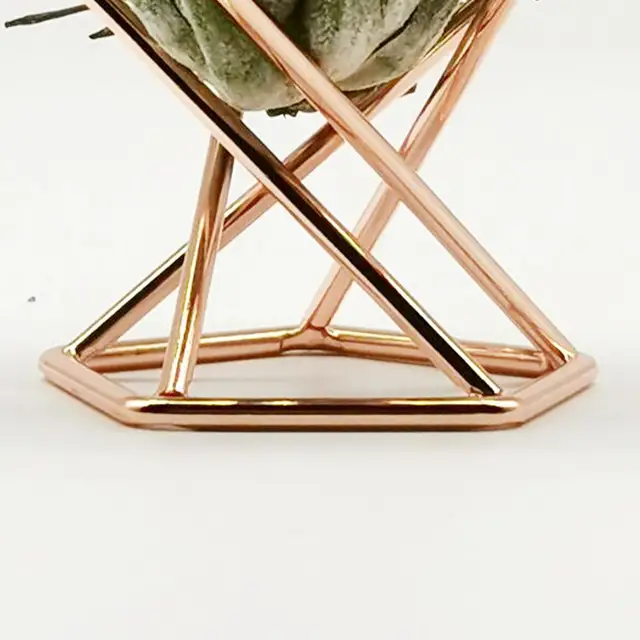 3 db Compact Tillandsia Display Állvány Korrózióellenes Páfrány Növényi Innovatív Széles Körben Használja A Légi Növények Tartó Kerti Dekorációját - Image 5