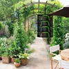 2-8 Layers Folding Drying Net for Herbs Fish Hanging Basket Dry Rack Herb Vegetable Dryer Bag Mesh Flowers Buds Plants Organizer 3
