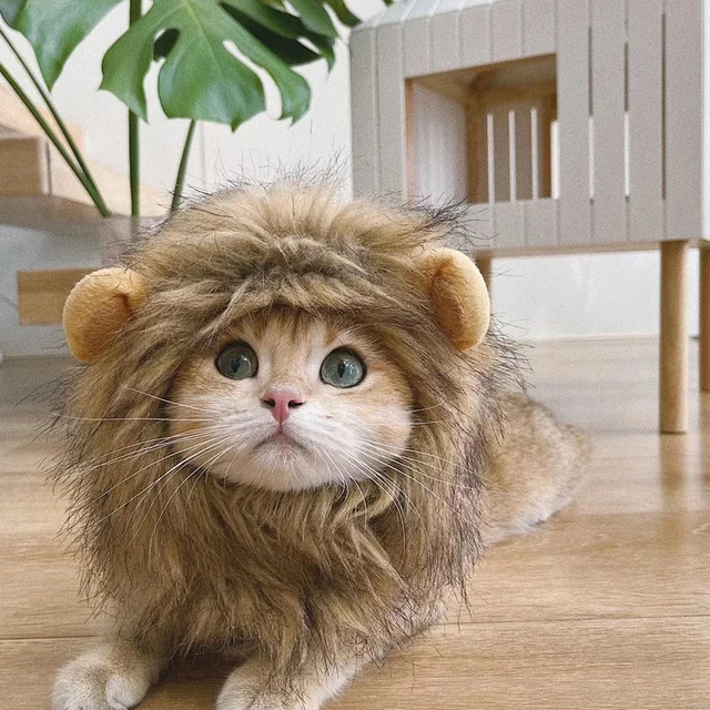 CAT LION CLOTHES HAIR FUNNY Pet MANE WIG Headgear Hat DRESS UP COSTUME G2X8  new.