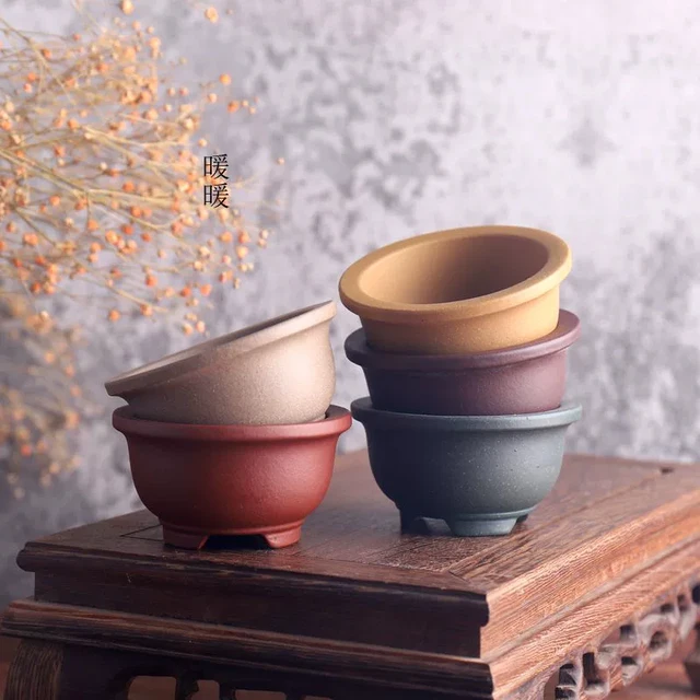 Lila Küldje El A Bonsai Pot Hagyományt Faragott Pozsgás Növények Kerti Dekoráció