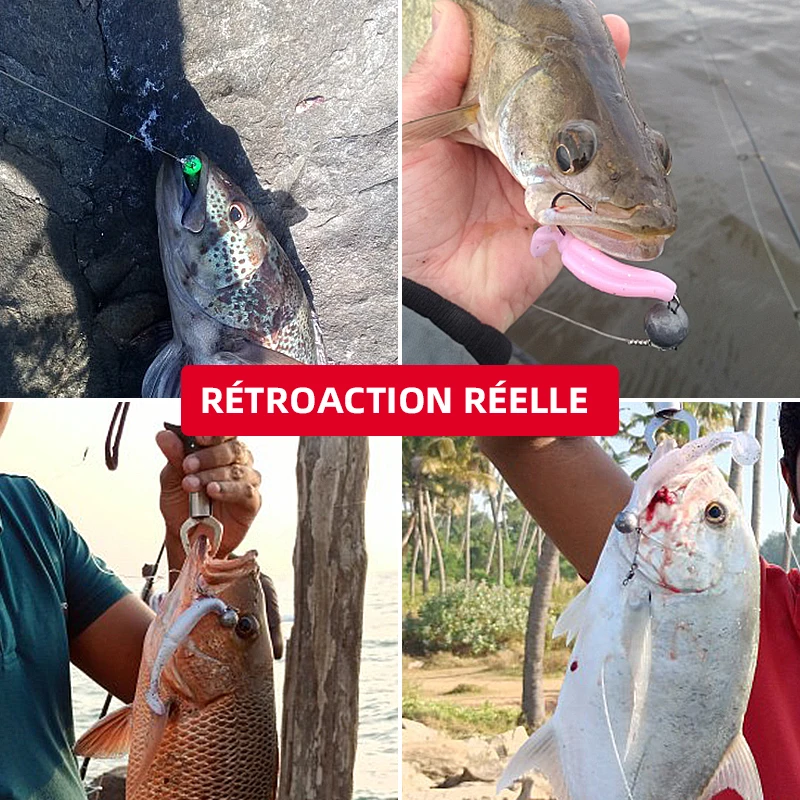 Leurre Souple Meredith Crazy Shiner 70-130mm, Appât Artificiel Wobbler pour la Pêche du Bar et Carnassiers