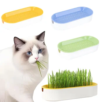 Hydroponic Cat Grass Kit 1