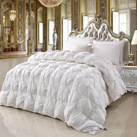 100% pure cotton goose down comforter, five-star hotel down comforter, winter thick comforter, spring and autumn comforter 5