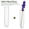 5 Pcs Flower Tubes Test Vase Vases Glass Planters Bottle for Flowers Propagation Office 2