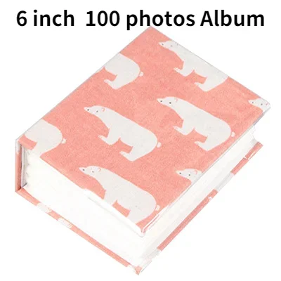 B 6 pollici 100 foto