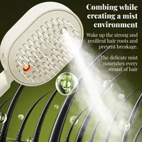 Electric Spray Hair Brush 2 In 1 Misting Steam Comb Anti Static Reduce Frizz Retractable Design Detangling Daily Hair Tool 3