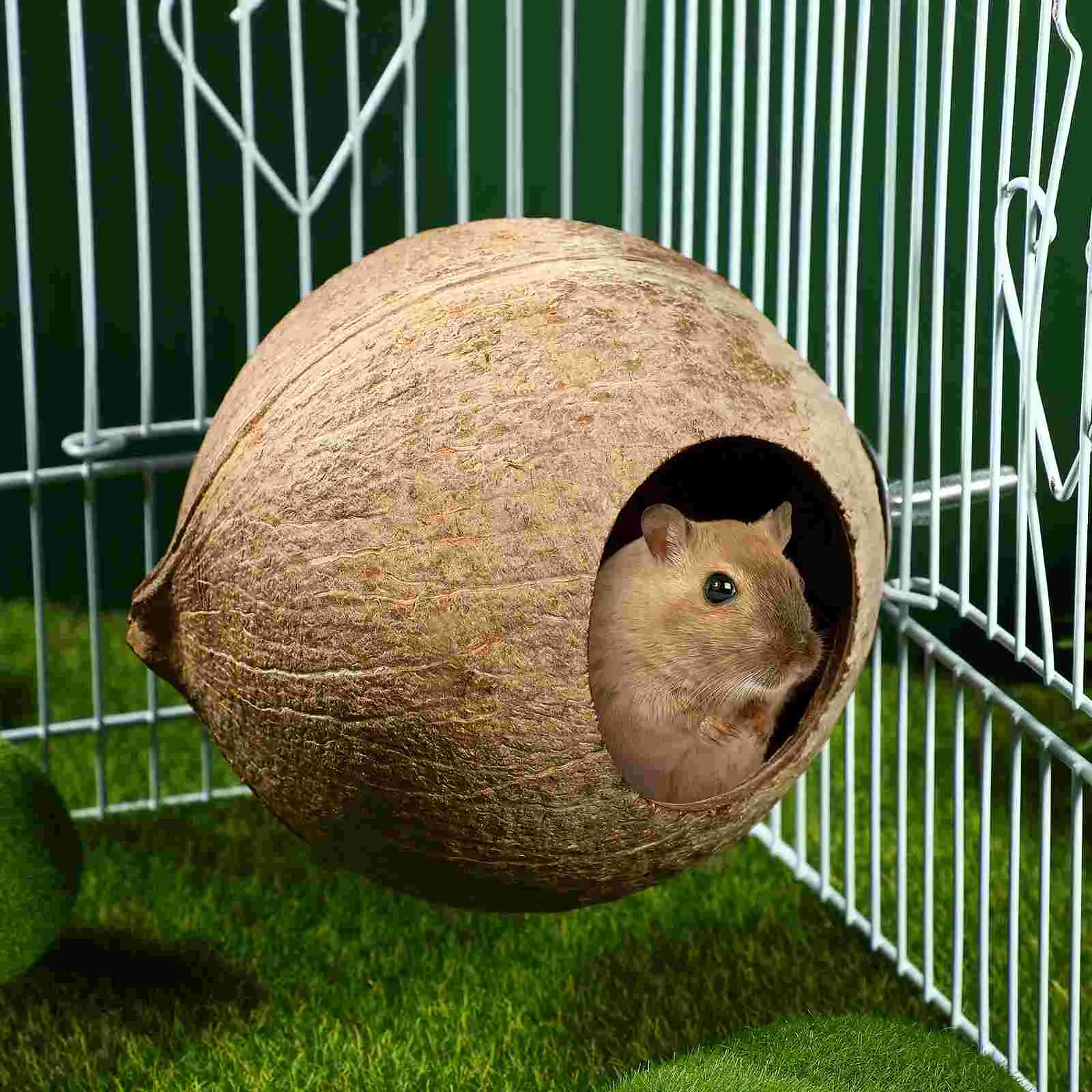 Bird Cage Pet Birds Nest Hanging The Bird's Coconut Shell for Bamboo Wooden Baby bird cage,bird nest