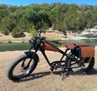 STLF Chine Origine Conception Style Rétro Mi Moteur Capteur De Torque 48v 750W 20ah NFC Déverrouillage Lithium Batte vélos Vélo Électronique Fatbike 2