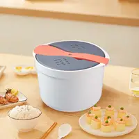 Cuiseur à vapeur à pression pour micro-ondes, ustensiles de cuisine avec passoire, cuiseur à riz pour quinoa, pomme de terre et riz, 2L 3