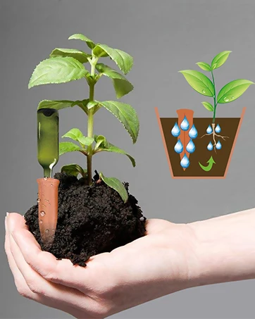 plant watering device