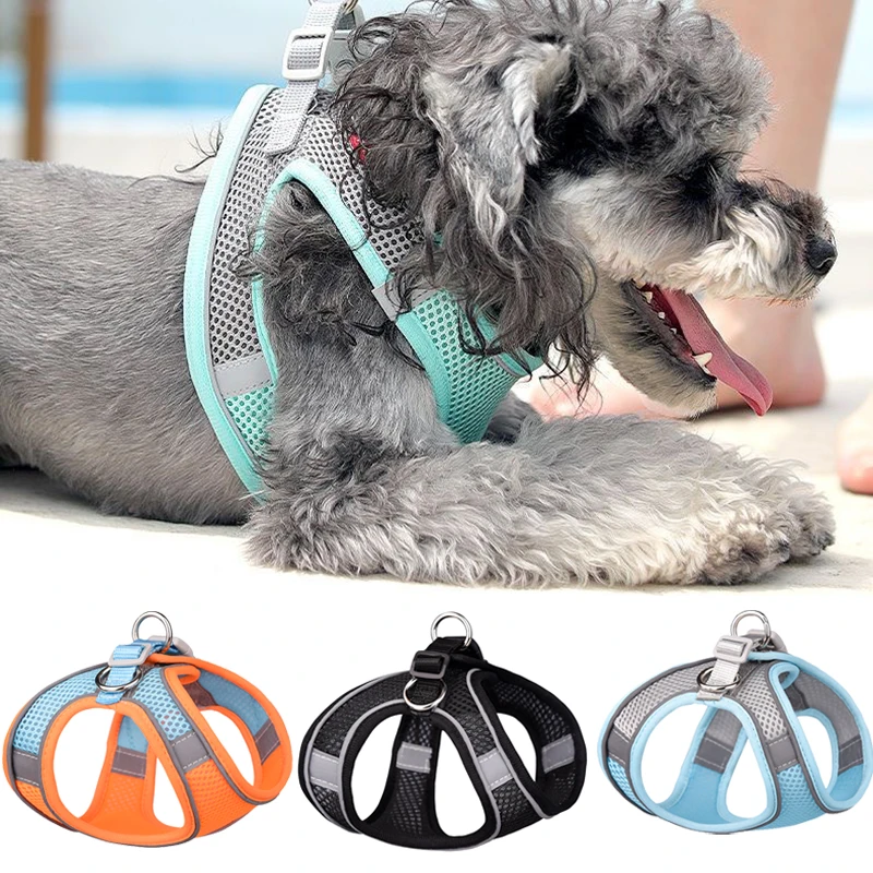 Summer Pet Vest Harness Mesh Breathable Cat Dog Harness and Leash Set