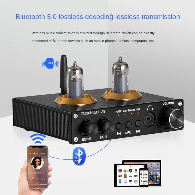 A9 Fever Electronic Tube Gallbladder-Level HiFi Bluetooth 5.0 Audio Receiver Amplifier Front Tone U Disk Playback