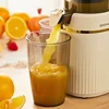 Juicer Household Slag Juice Separation Automatic Juicer Small  Fresh Squeezing Vegetable and Fruit Juice Machine Large Diameter 4