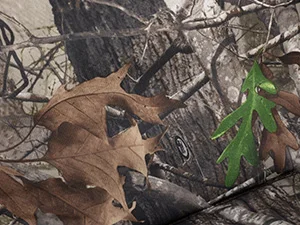 heated hunting chair hunting blind chair swivel hunting chair 360 degree silent