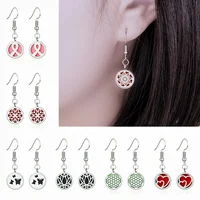 Stainless Steel Dangle Earrings 12MM Perfume Diffuser Locket Drop Earrings Aromatherapy Essential Oil Pendants Jewelry 1