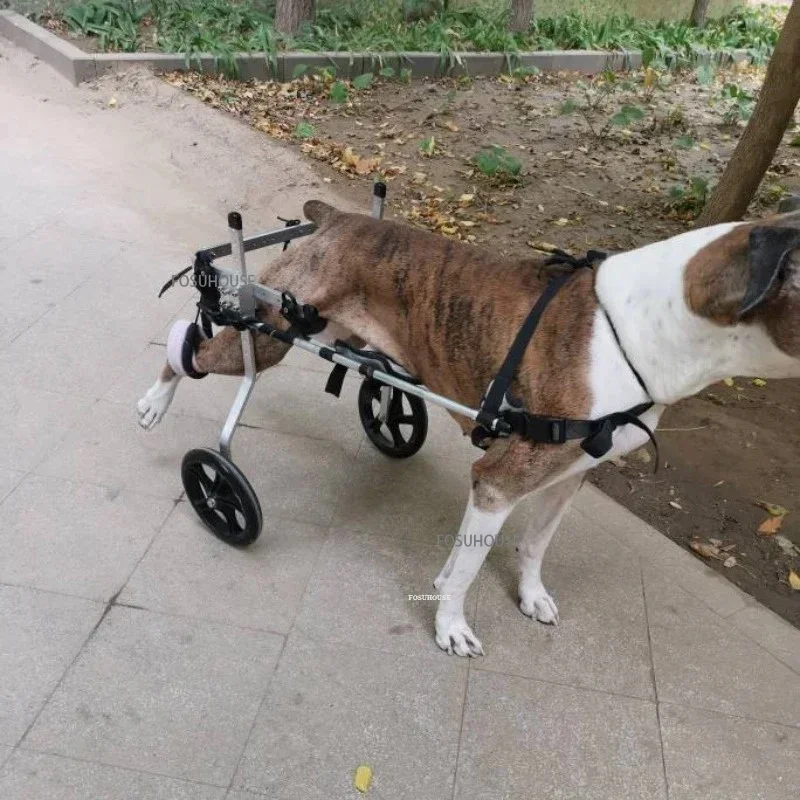 Silla de ruedas grande para perros, entrenamiento para la parálisis por espondilitis