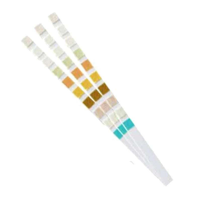 100 Strips Urine Test Strip 10 Parameters 3