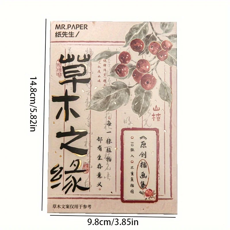 MOHAMM Ǯ�� ���� �����ڸ�, ���� ��Ÿ�� �ɰ� ���� �׸� �޽��� ī��, 30 ��