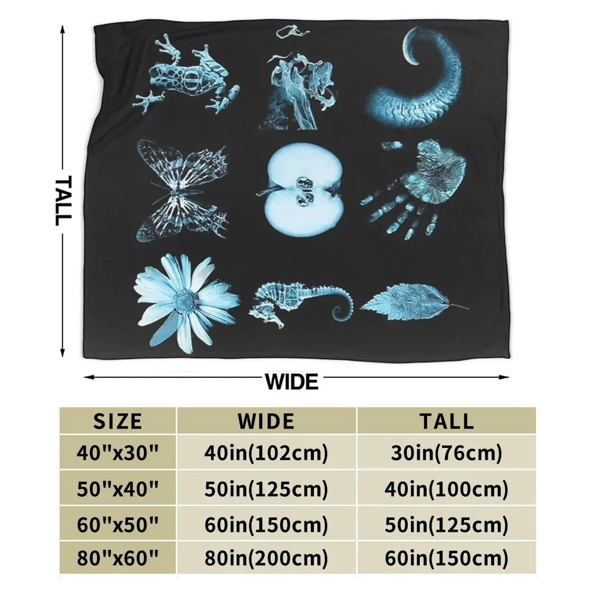 ������ ����� ��� 9 �۸���, �ε巴�� ������ �ö��� ������ ���, ħ��� ħ�뺸, �Ž� ��ũ�� ���� Ȩ ����