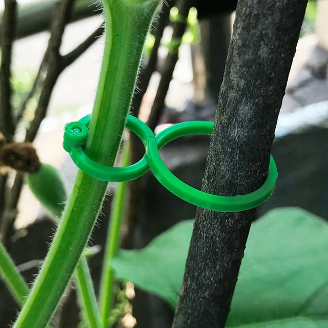 50 db Kerti Gyár Tartó Rácsos Klipek A Bonsai Szőlő Zöldség Új Paradicsom Termesztése Függőleges Állvány Szerszám - Image 4