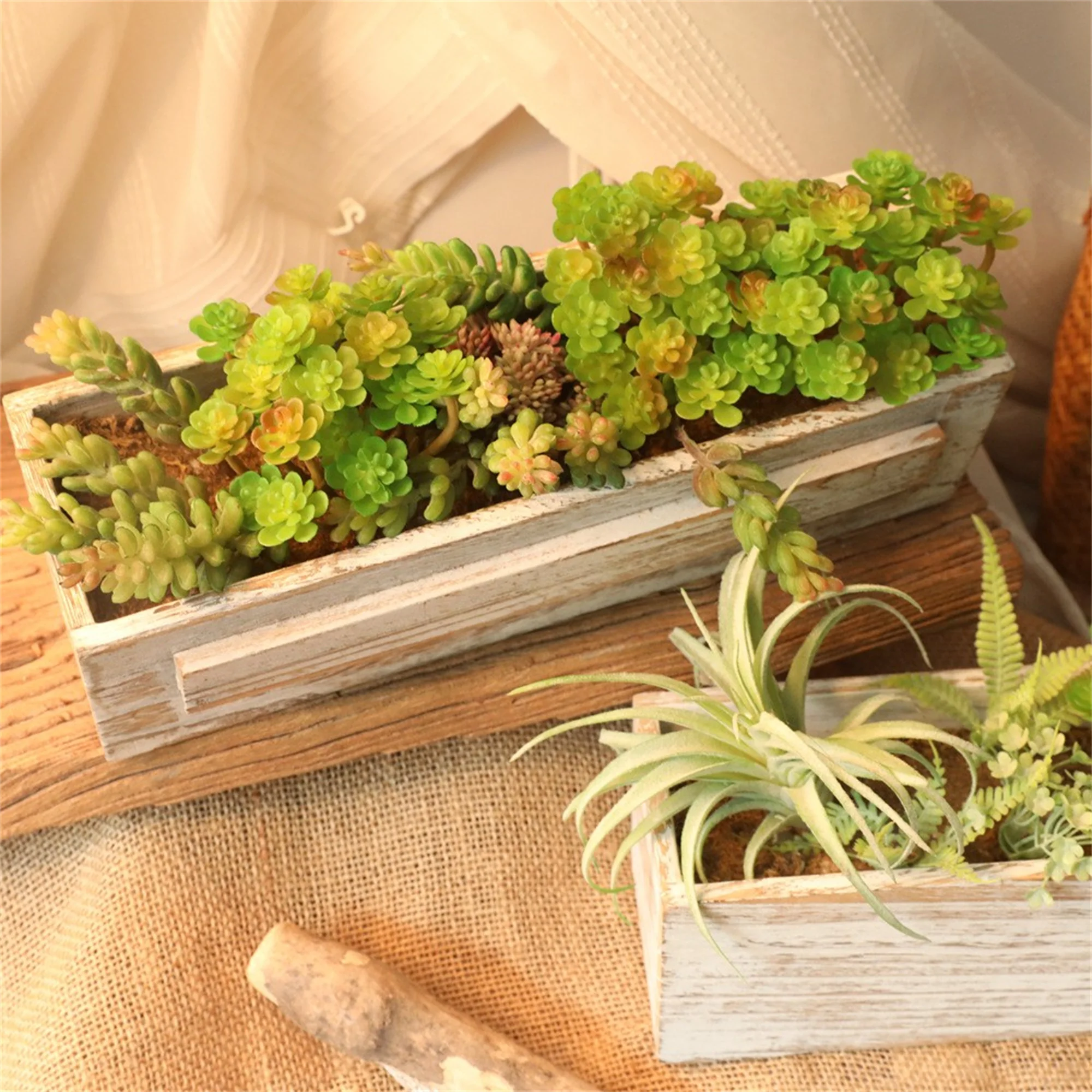 Artificial Encrinite Succulent Decor Plant - Realistic Colors, Natural Countryside Style