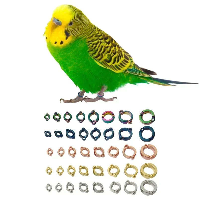 New 4-15mm Parrot Foot Rings Metal Pet Bird Leg Rings Outdoor Fly Training Activity Anti-Lost Opening Clip Leash Accessories