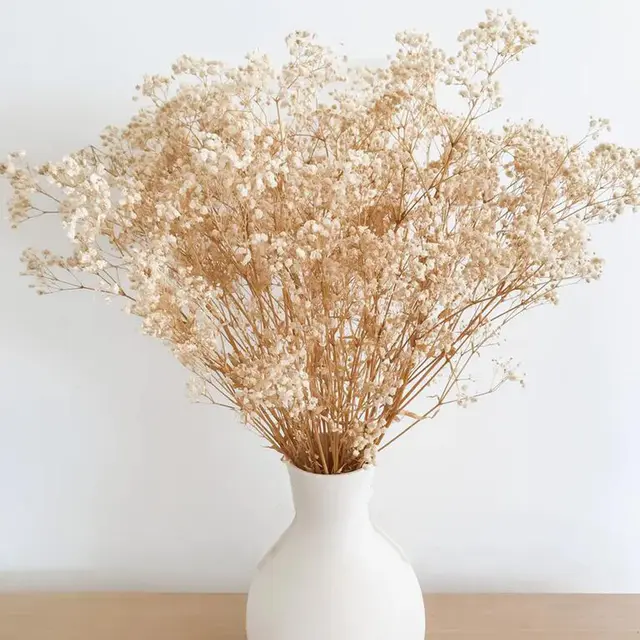Dried Flowers Babys Breath Flowers Bouquet Natural Real Gypsophila Branches for Wedding Wreath Floral, Boho Decor, Dry Flowers