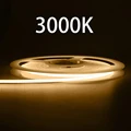 3000K