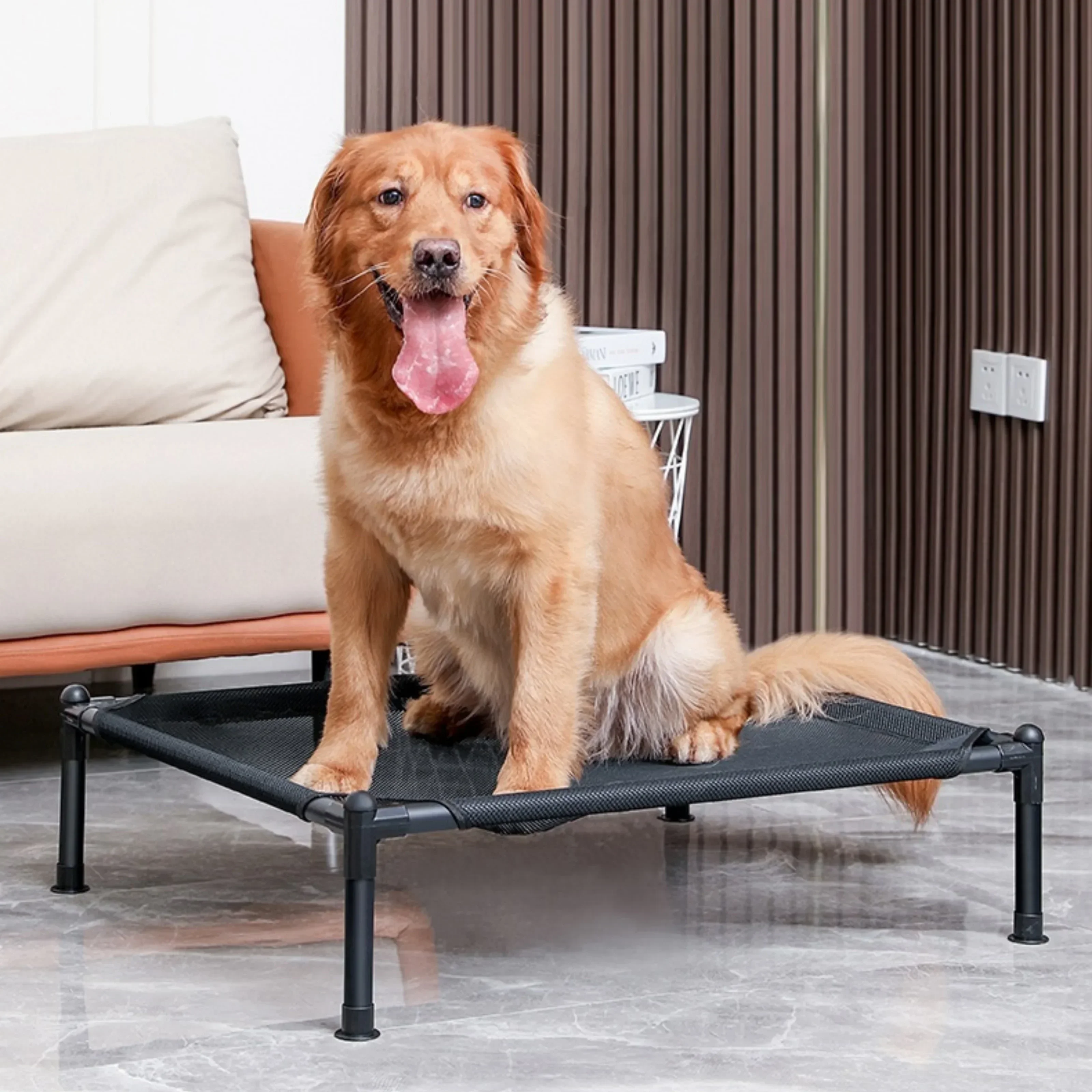 Hamaca Perro Cama Elevada Ferplast Dream 80 Para Perros Plegable