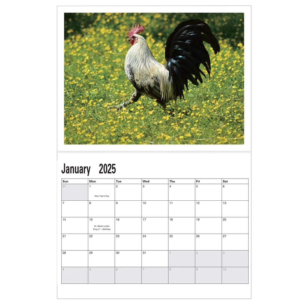 Wall calendar paper wall calendar Big Cocks Calendar Vibrant Wildlife Photography 12-Month Wall Calendar for Office & Home Decor Animal Enthusiasts Paper
