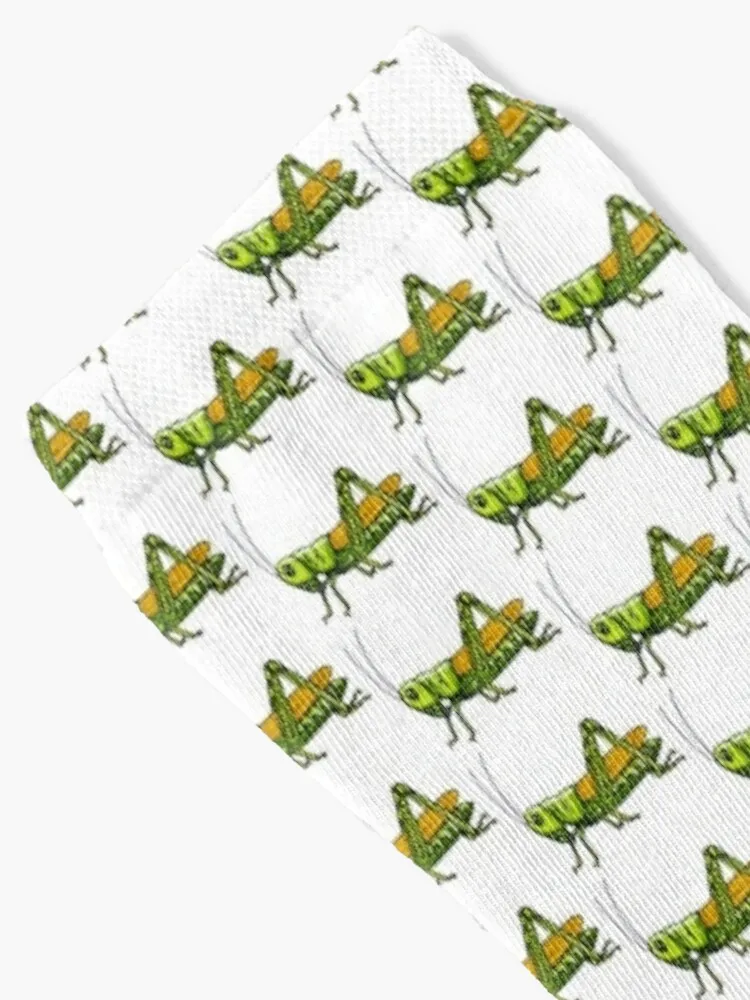 Рисунок 2 - Носки Grasshopper