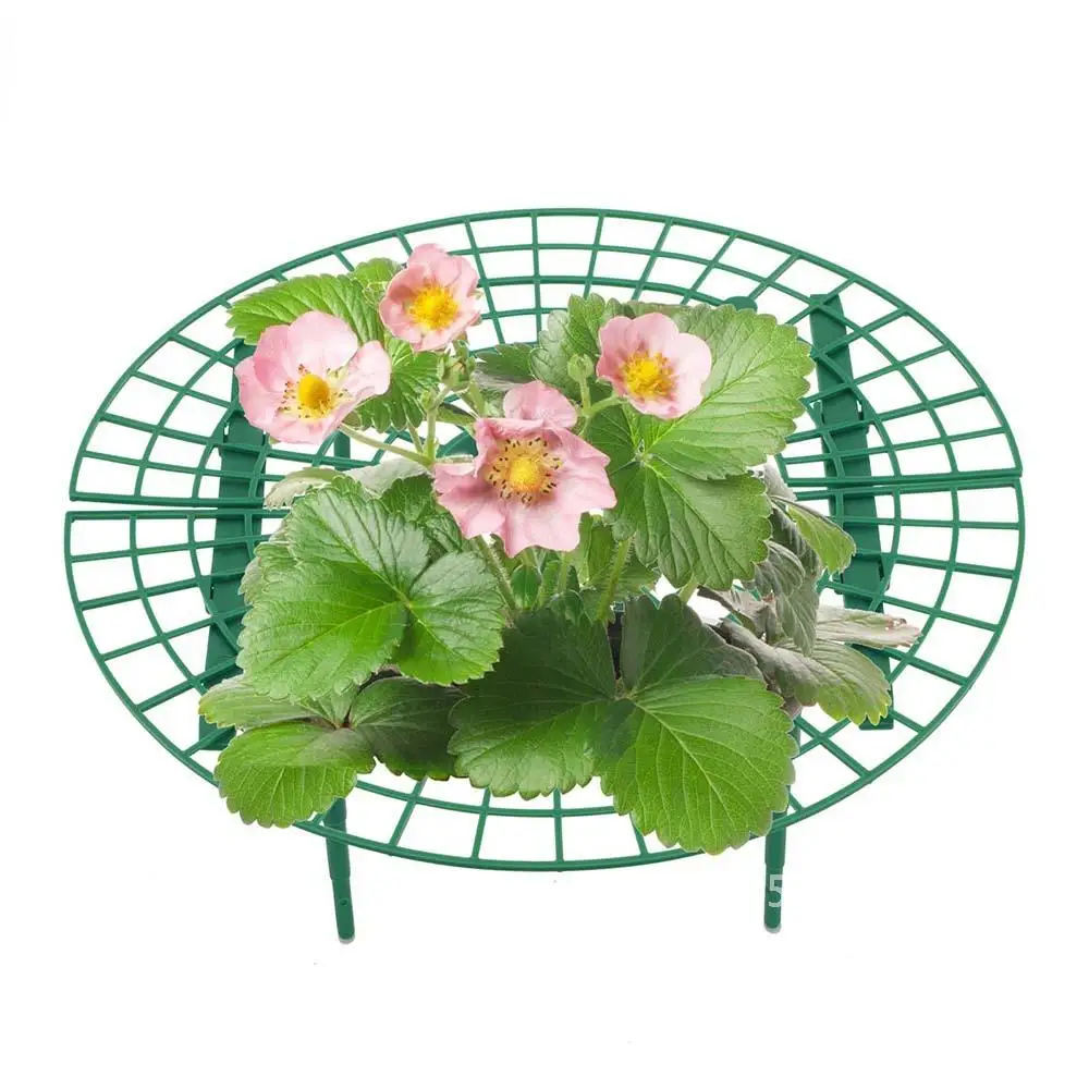 

Strawberry Planting Rack Holder Balcony Stand Flower Vine Pillar Support Fruit Climbing Frame PC 5/10/15/20 Stand Gardening