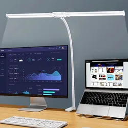 Energy - Efficient Eye - Caring LED Desk Lamp with Adjustable Gooseneck and Stepless Dimming (Double - head White)