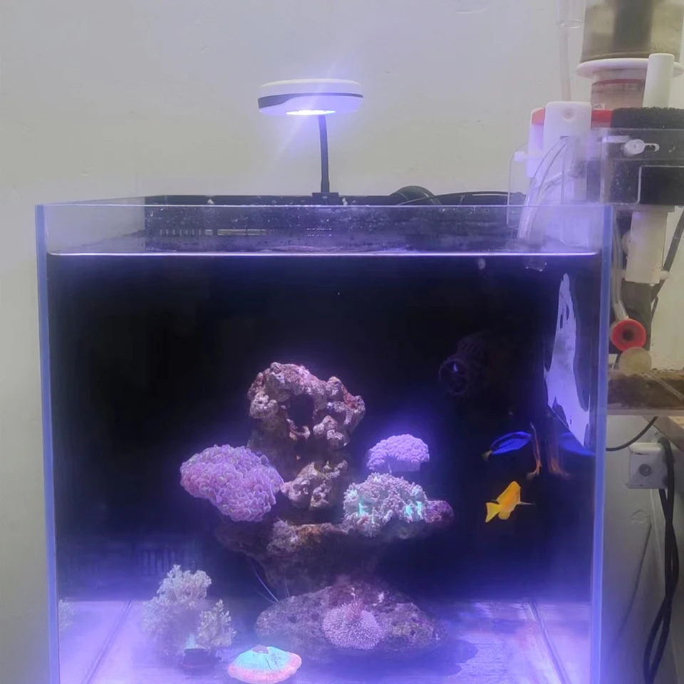新品　マリンアクアリウム　サンゴ　海水魚　コーラルライト　SPECTRA システムLED <初心者のための照明ガイド Vol.2> | AQUALASSIC
