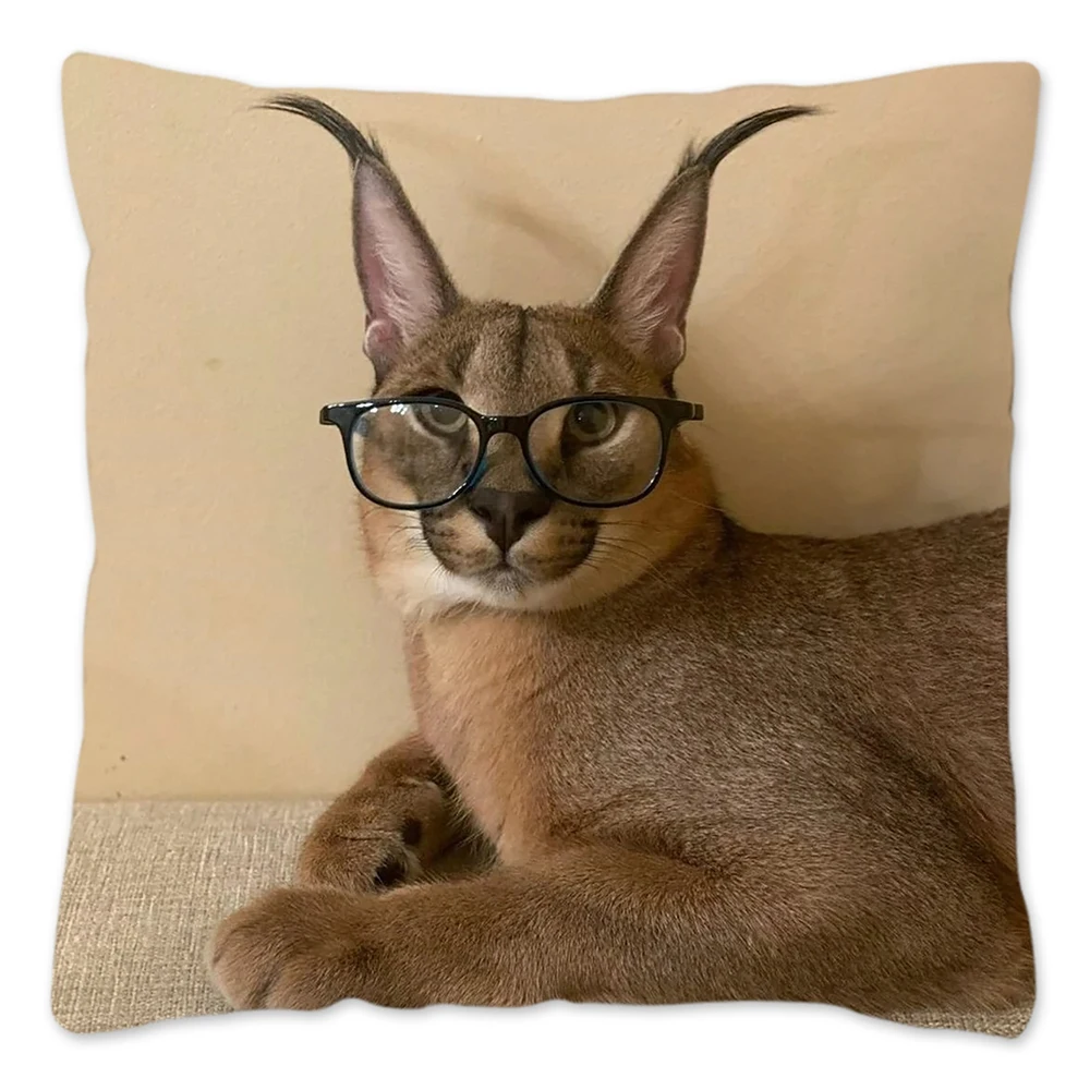 40/45/50/60cm Floppa Meme Pillow Case Cute Cat Decorative Cushion