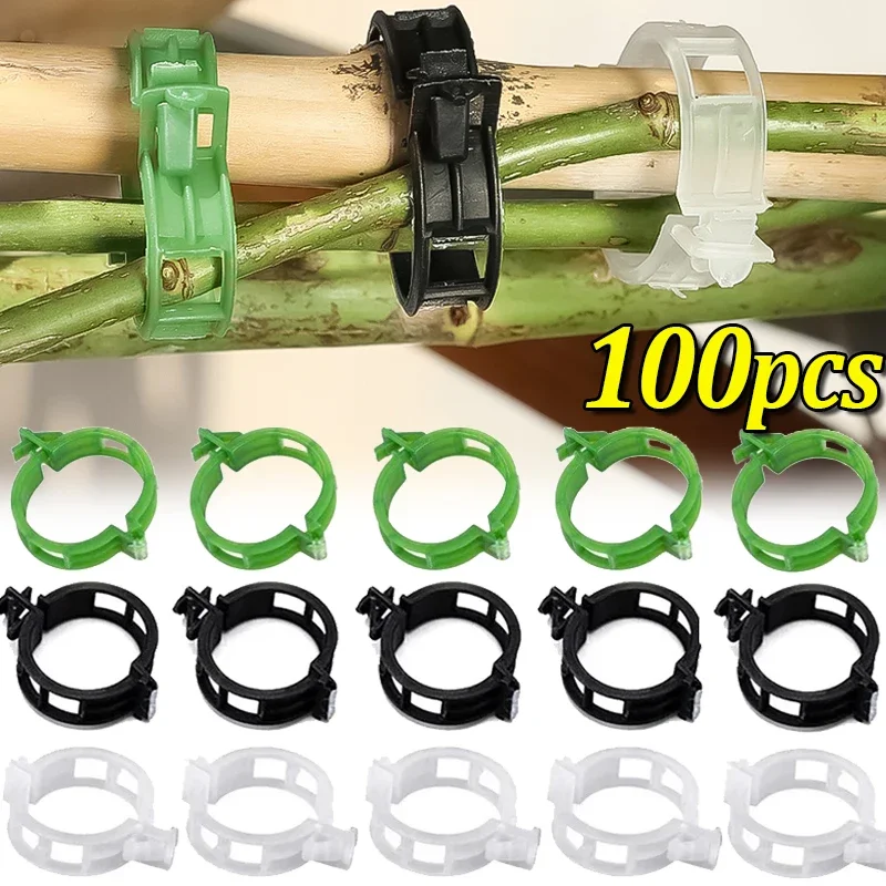 재사용 가능한 식물 지지대 클립, 접목 플라스틱 고정 버클, 포도 나무 토마토 덩굴 성장 고정 도구, 정원 공급, 10 개, 100 개 